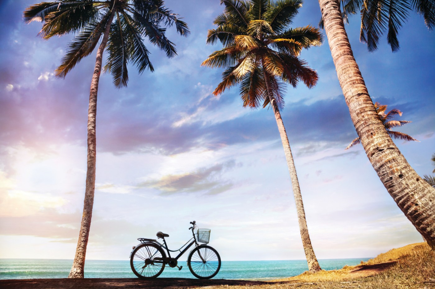 Island Safari Rental Inc - eBike shop in Key West, FL