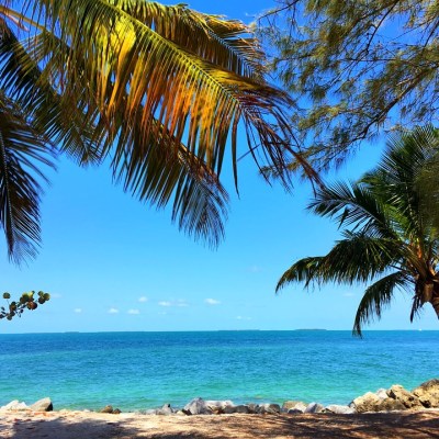 bike rentals in Key West